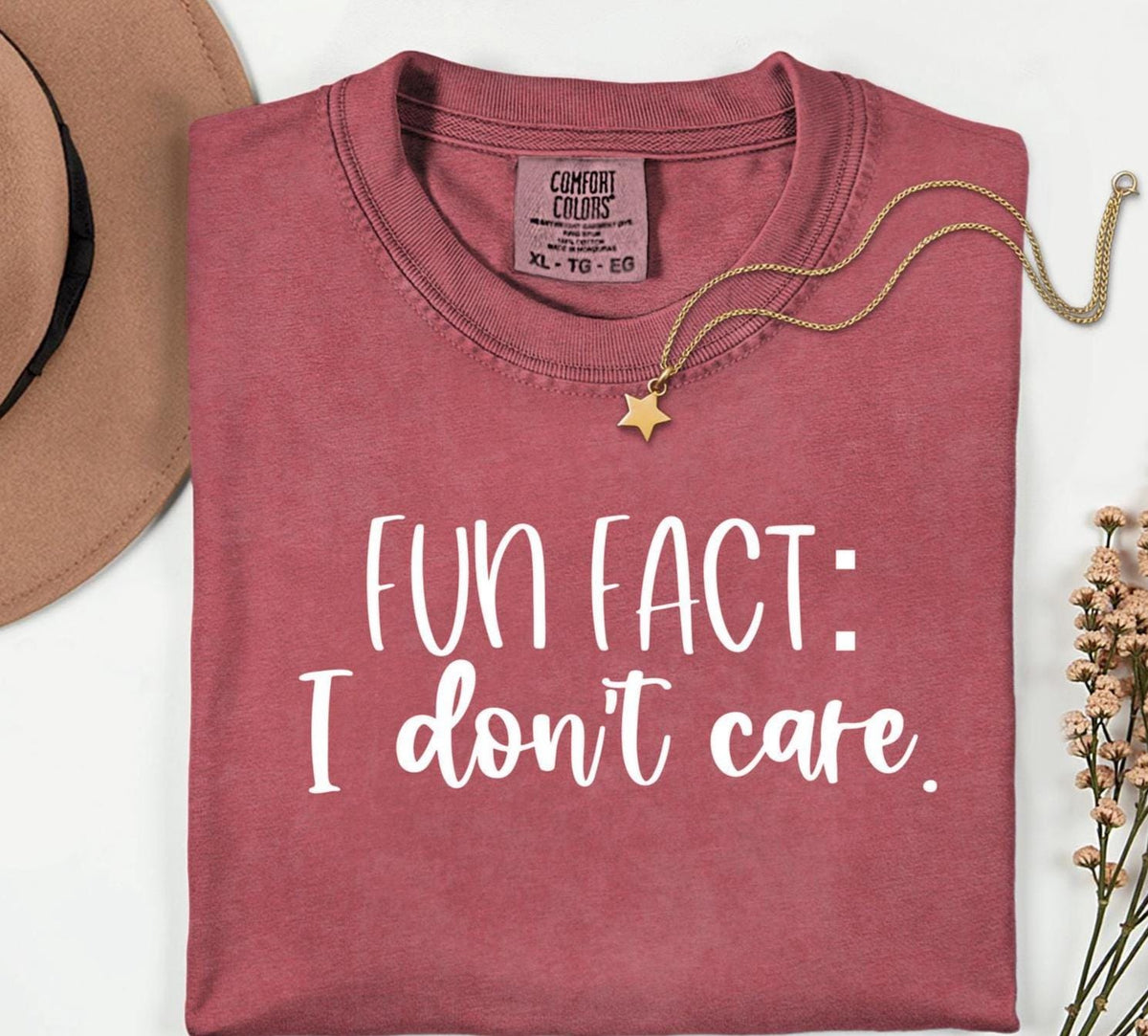Fun Fact I Don't Care Shirt: Sarcastic Unisex Tee
