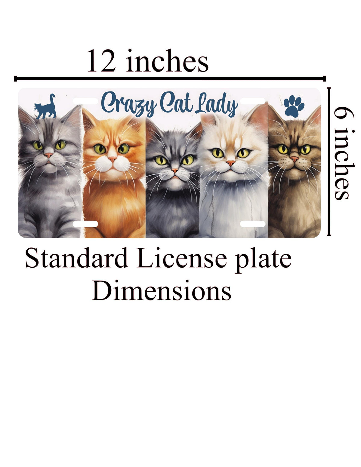Crazy Cat Lady License Plate: Cat Lover Car Accessory