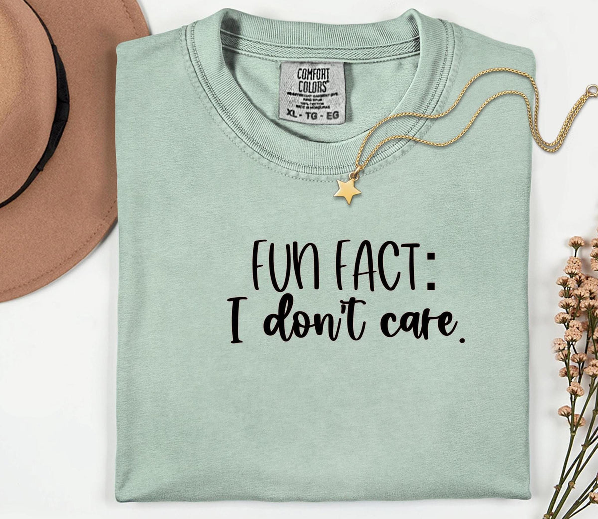 Fun Fact I Don't Care Shirt: Sarcastic Unisex Tee