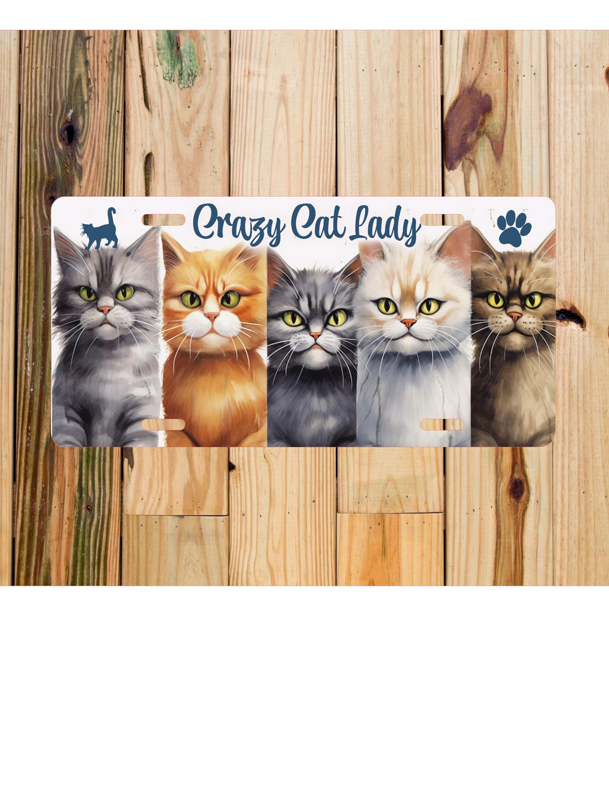 Crazy Cat Lady License Plate: Cat Lover Car Accessory
