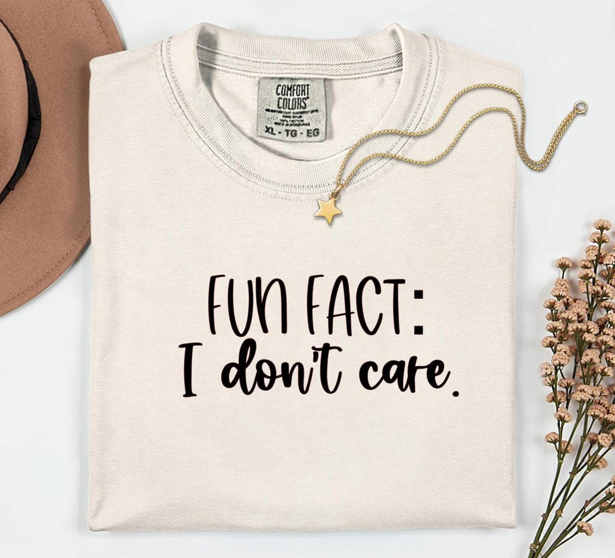 Fun Fact I Don't Care Shirt: Sarcastic Unisex Tee