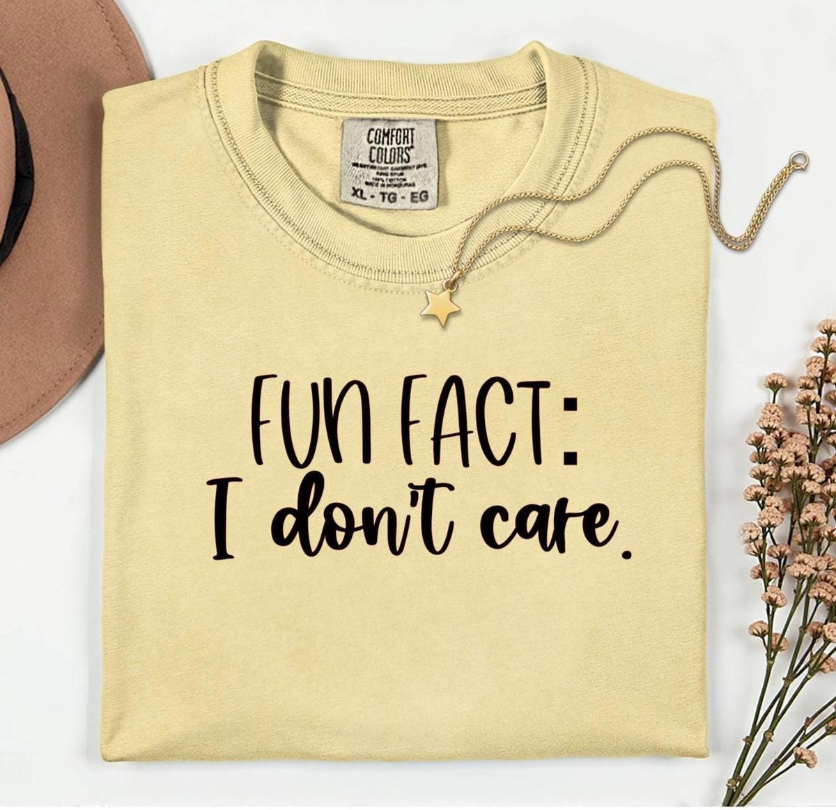 Fun Fact I Don't Care Shirt: Sarcastic Unisex Tee